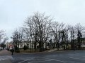 Siedlce - 092